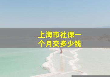 上海市社保一个月交多少钱