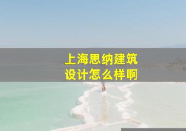 上海思纳建筑设计怎么样啊