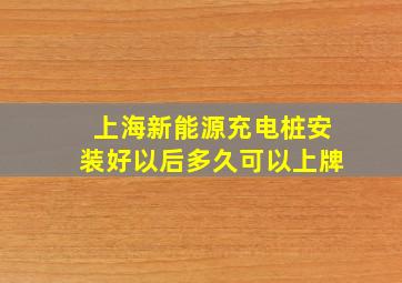 上海新能源充电桩安装好以后多久可以上牌