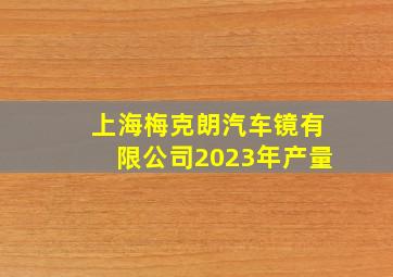 上海梅克朗汽车镜有限公司2023年产量