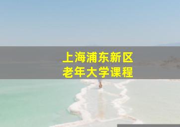 上海浦东新区老年大学课程