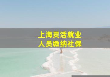 上海灵活就业人员缴纳社保