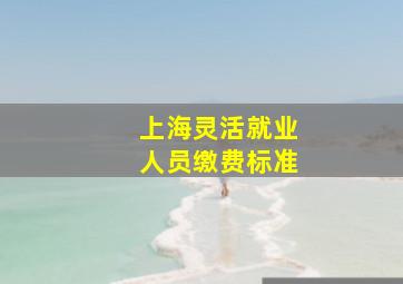 上海灵活就业人员缴费标准