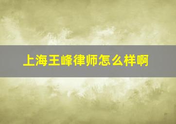 上海王峰律师怎么样啊