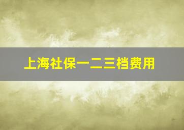 上海社保一二三档费用