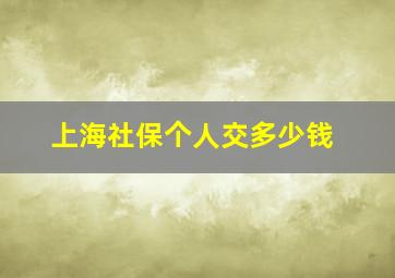 上海社保个人交多少钱