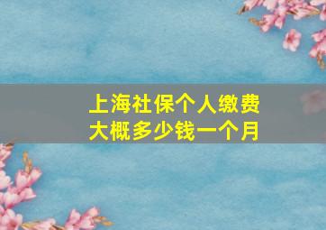 上海社保个人缴费大概多少钱一个月