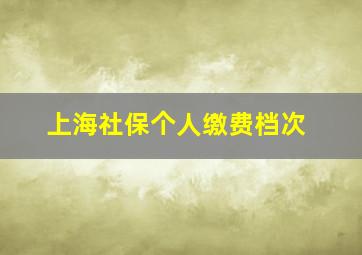 上海社保个人缴费档次