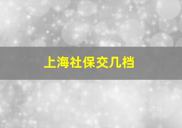 上海社保交几档