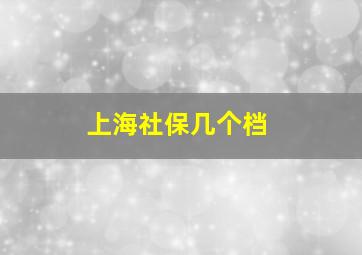 上海社保几个档