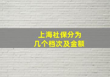 上海社保分为几个档次及金额