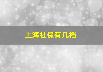 上海社保有几档