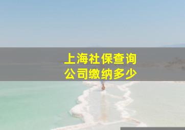 上海社保查询公司缴纳多少