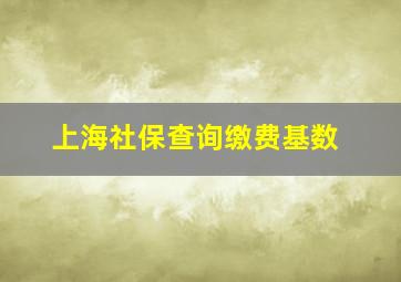 上海社保查询缴费基数