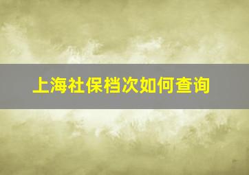 上海社保档次如何查询