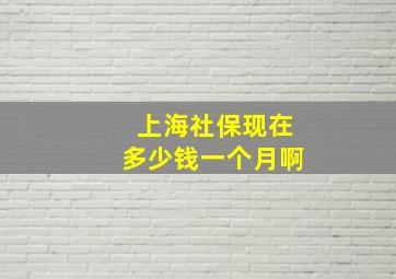 上海社保现在多少钱一个月啊