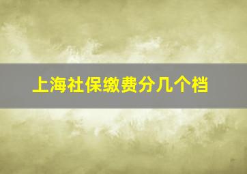 上海社保缴费分几个档