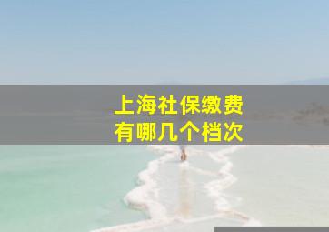 上海社保缴费有哪几个档次