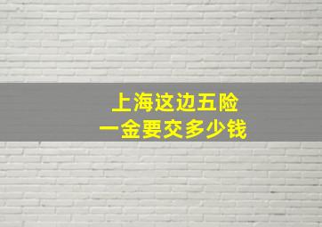 上海这边五险一金要交多少钱