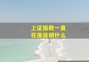 上证指数一直在涨说明什么