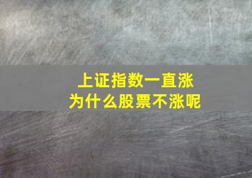 上证指数一直涨为什么股票不涨呢