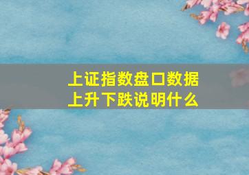 上证指数盘口数据上升下跌说明什么