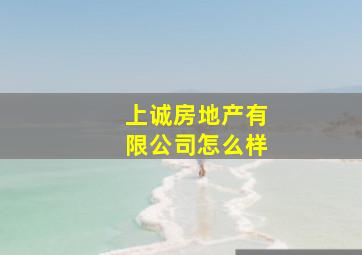 上诚房地产有限公司怎么样