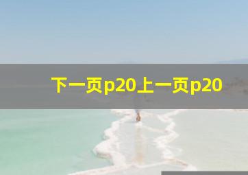 下一页p20上一页p20