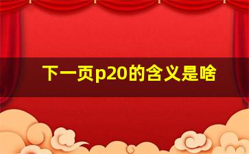 下一页p20的含义是啥