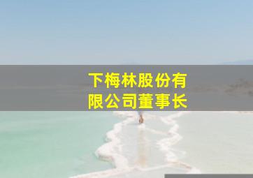 下梅林股份有限公司董事长