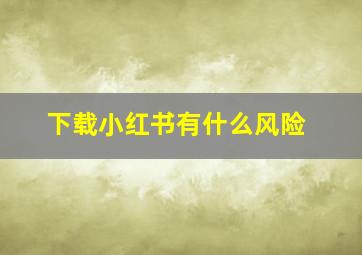 下载小红书有什么风险