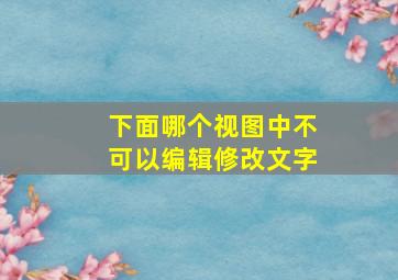 下面哪个视图中不可以编辑修改文字