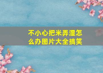 不小心把米弄湿怎么办图片大全搞笑