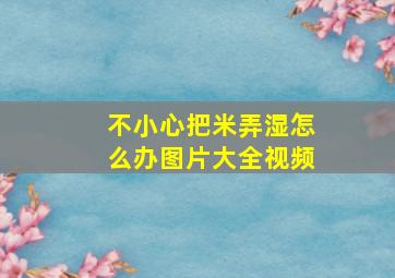 不小心把米弄湿怎么办图片大全视频