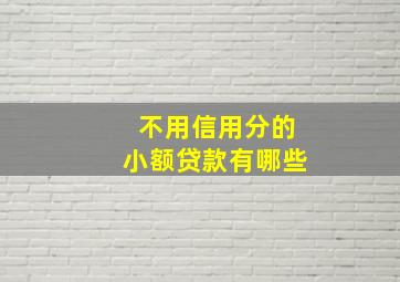 不用信用分的小额贷款有哪些