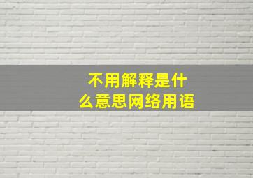 不用解释是什么意思网络用语