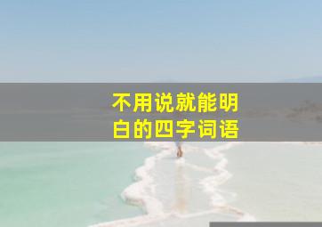 不用说就能明白的四字词语