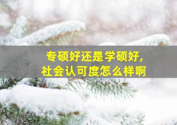 专硕好还是学硕好,社会认可度怎么样啊