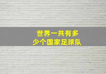 世界一共有多少个国家足球队