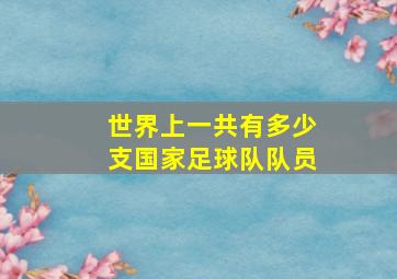 世界上一共有多少支国家足球队队员