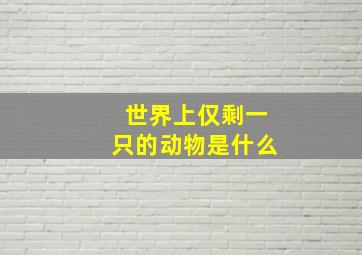 世界上仅剩一只的动物是什么