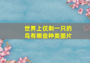 世界上仅剩一只的鸟有哪些种类图片