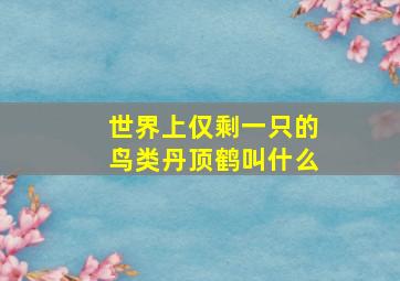 世界上仅剩一只的鸟类丹顶鹤叫什么