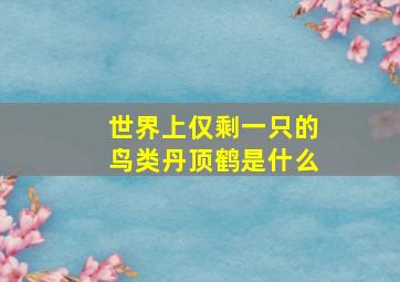 世界上仅剩一只的鸟类丹顶鹤是什么