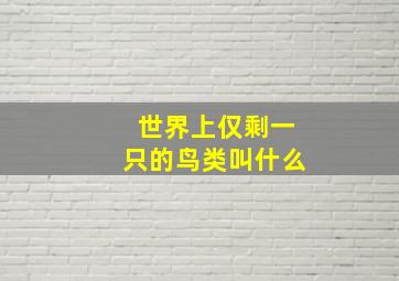 世界上仅剩一只的鸟类叫什么