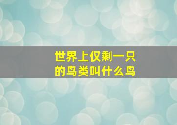 世界上仅剩一只的鸟类叫什么鸟