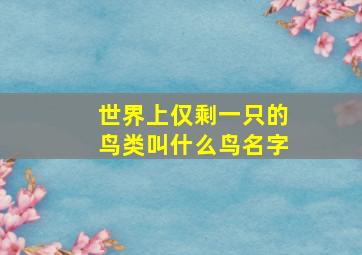 世界上仅剩一只的鸟类叫什么鸟名字