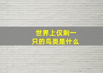 世界上仅剩一只的鸟类是什么