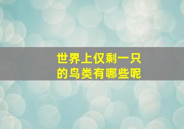 世界上仅剩一只的鸟类有哪些呢