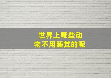 世界上哪些动物不用睡觉的呢